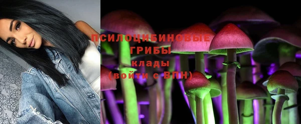марки lsd Касимов