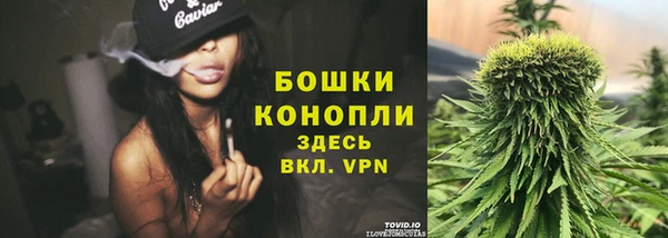 индика Волгодонск