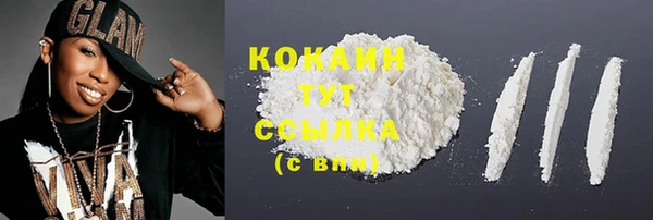 хмурый Каменка